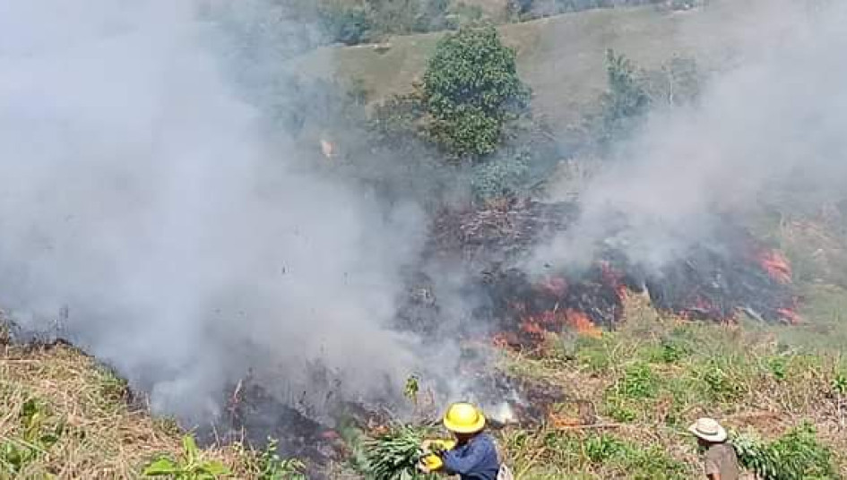 En la conflagración ardieron 15 hectáreas de pasto en la vereda Buenos Aires de Pácora (Caldas). En la conflagración ardieron 15 hectáreas de pasto en la vereda Buenos Aires de Pácora (Caldas).