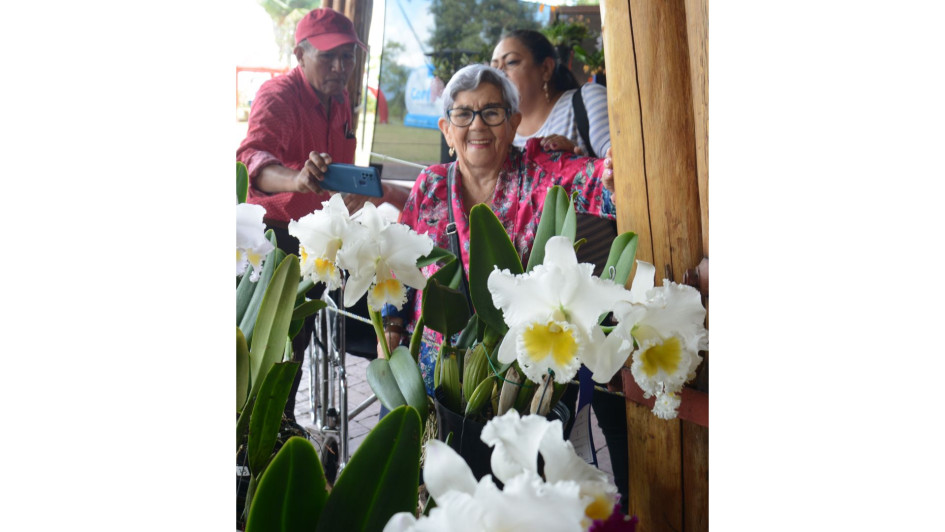 La felicidad de Margarita Arango de Loaiza en su llegada a la Exposición Nacional de Orquídeas. La felicidad de Margarita Arango de Loaiza en su llegada a la Exposición Nacional de Orquídeas.