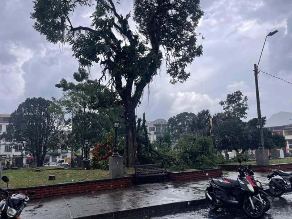 El fuerte aguacero de la tarde de este viernes en Riosucio causó, entre otros daños, la caída de ramas de los árboles. El fuerte aguacero de la tarde de este viernes en Riosucio causó, entre otros daños, la caída de ramas de los árboles.