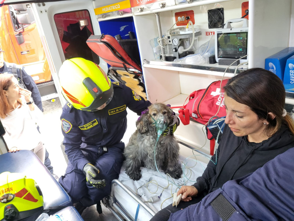 La mujer y la mascota fueron auxiliadas por Bomberos de Manizales luego del conato de incendio en Villa Pilar. La mujer y la mascota fueron auxiliadas por Bomberos de Manizales luego del conato de incendio en Villa Pilar.