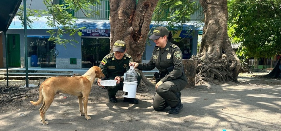 Los policías instalaron los bebederos en distintos puntos de La Dorada, con la colaboración de comerciantes. Los policías instalaron los bebederos en distintos puntos de La Dorada, con la colaboración de comerciantes.