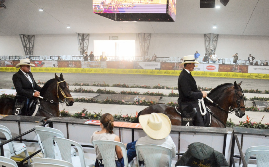 La yegua Sonsoneña de J.C. (a la derecha) en la competencia. La yegua Sonsoneña de J.C. (a la derecha) en la competencia.