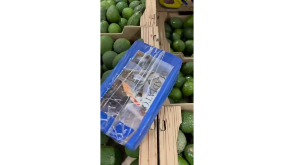 Los paquetes de la cocaína incautada estaban camuflados en un cargamento de aguacate que sería transportado a Portugal. Los paquetes de la cocaína incautada estaban camuflados en un cargamento de aguacate que sería transportado a Portugal.
