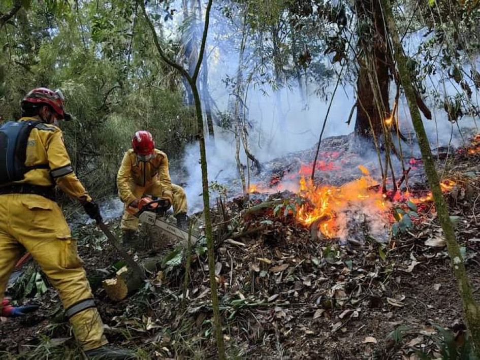 Esta fue una zona afectada por el incendio. Esta fue una zona afectada por el incendio.