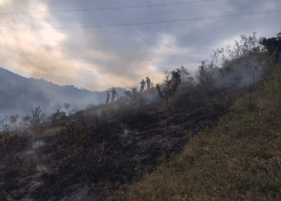 Esta es la zona que afectó el incendio en Arauca. Esta es la zona que afectó el incendio en Arauca.