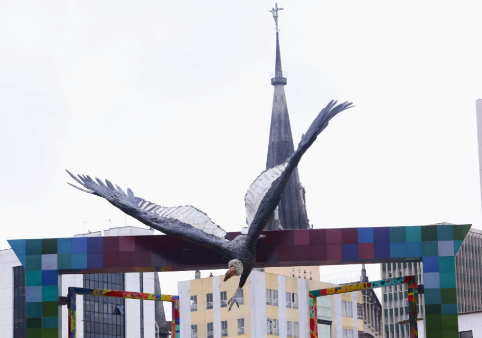 El Cóndor Baja, obra del maestro Luis Guillermo Vallejo, es la última escultura puesta en Manizales para resaltar las aves y la biodiversidad del municipio. En la ciudad hay 10 monumentos más ubicados en avenidas y parques. El Cóndor Baja, obra del maestro Luis Guillermo Vallejo, es la última escultura puesta en Manizales para resaltar las aves y la biodiversidad del municipio. En la ciudad hay 10 monumentos más ubicados en avenidas y parques.