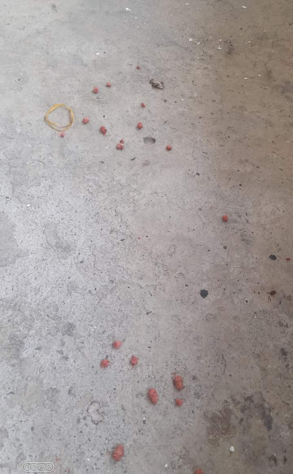 Lo hallado en el piso. Lo hallado en el piso.