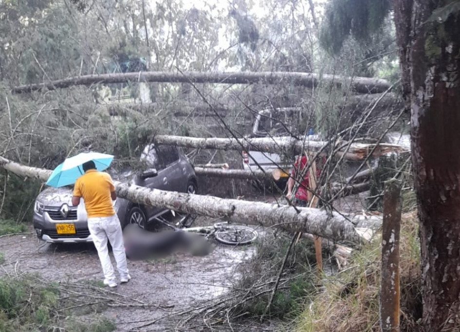 La caída de árboles ocurrió en el tramo vial entre la Iglesia y Termales El Otoño, en Gallinazo (Villamaría). La caída de árboles ocurrió en el tramo vial entre la Iglesia y Termales El Otoño, en Gallinazo (Villamaría).