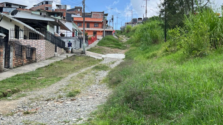 Foto | Albeiro Rudas | LA PATRIA En la vía no transitan vehículos, permanece abandonada y el pasto se apoderó del tramo. Foto | Albeiro Rudas | LA PATRIA En la vía no transitan vehículos, permanece abandonada y el pasto se apoderó del tramo.