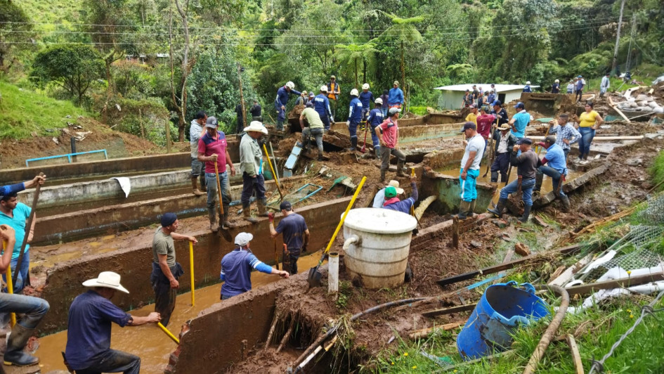 Pese a la inclemencia de la lluvia, la comunidad de la vereda La Antioqueña de Riosucio continúa buscando el cuerpo de Rodrigo Morales. Pese a la inclemencia de la lluvia, la comunidad de la vereda La Antioqueña de Riosucio continúa buscando el cuerpo de Rodrigo Morales.