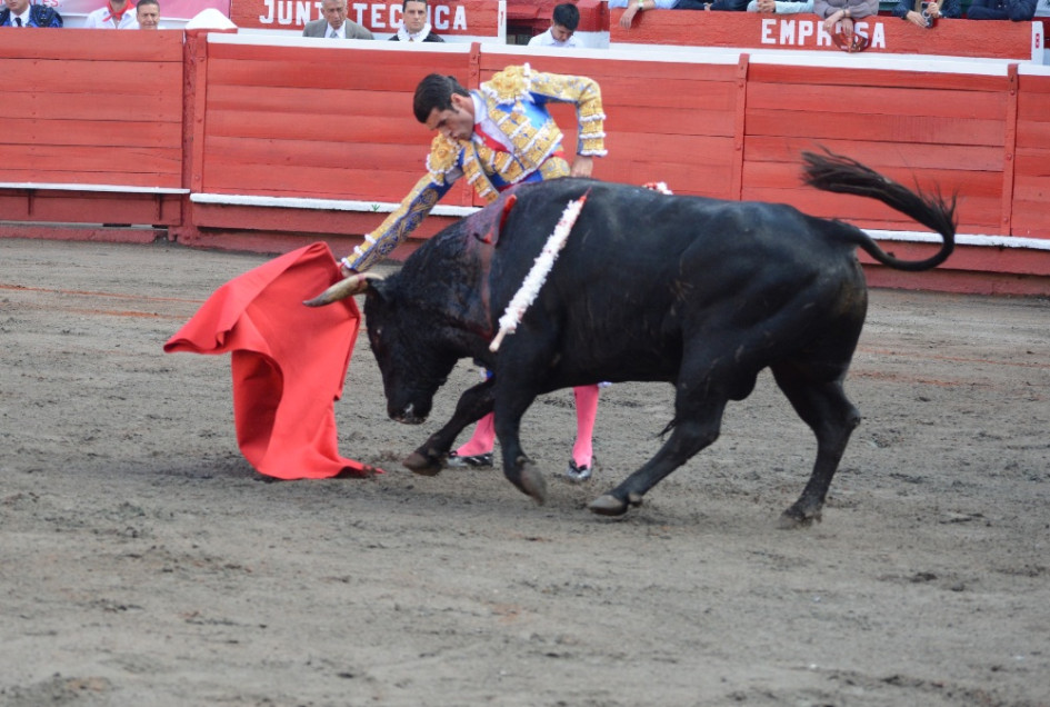 Las ganaderías de Las Ventas del Espíritu Santo y Mondoñedo son participantes continuos de la temporada taurina de Manizales. Las ganaderías de Las Ventas del Espíritu Santo y Mondoñedo son participantes continuos de la temporada taurina de Manizales.