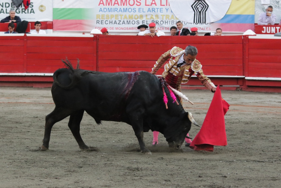 El debate continúa para prohibir las corridas de toros hoy en la Cámara de Representantes. El debate continúa hoy en la Cámara de Representantes.