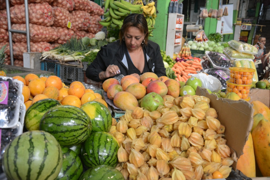 Arriendo, frutas frescas y comidas fuera del hogar, los sectores que mayor pesaron o impactaron la inflación en Manizales. Arriendo, frutas frescas y comidas fuera del hogar, los sectores que mayor pesaron o impactaron la inflación en Manizales.