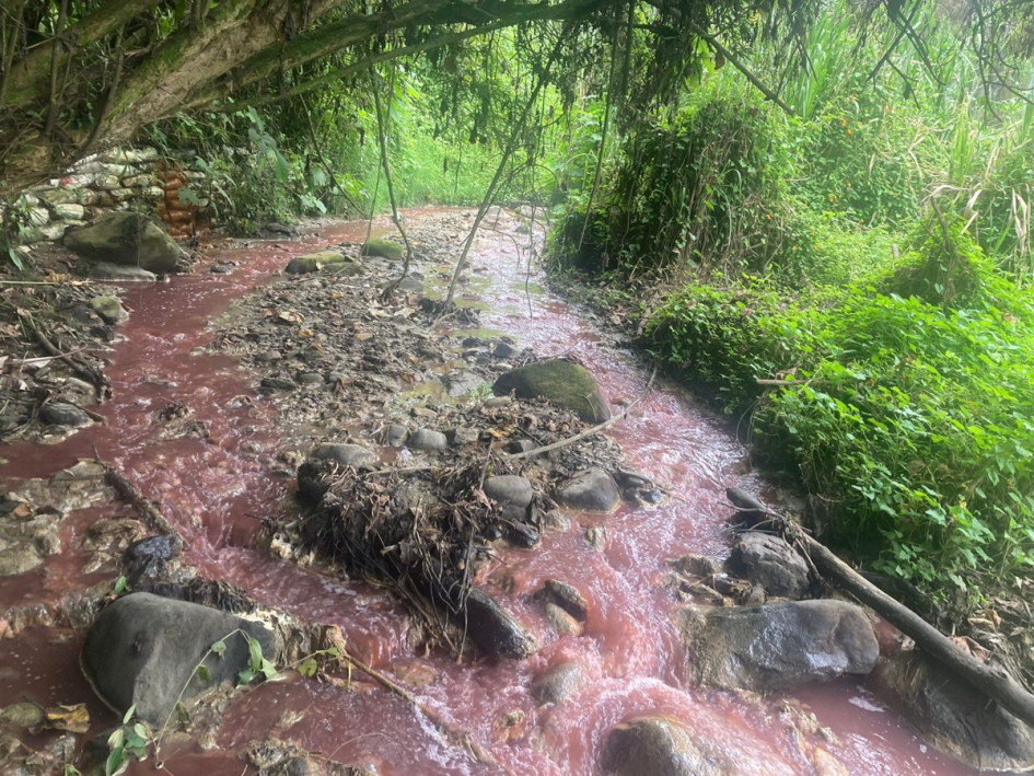Así reportó un denunciante cómo estaba el agua de la quebrada Cristales de Manizales el martes. Así reportó un denunciante cómo estaba el agua de la quebrada Cristales de Manizales el martes.