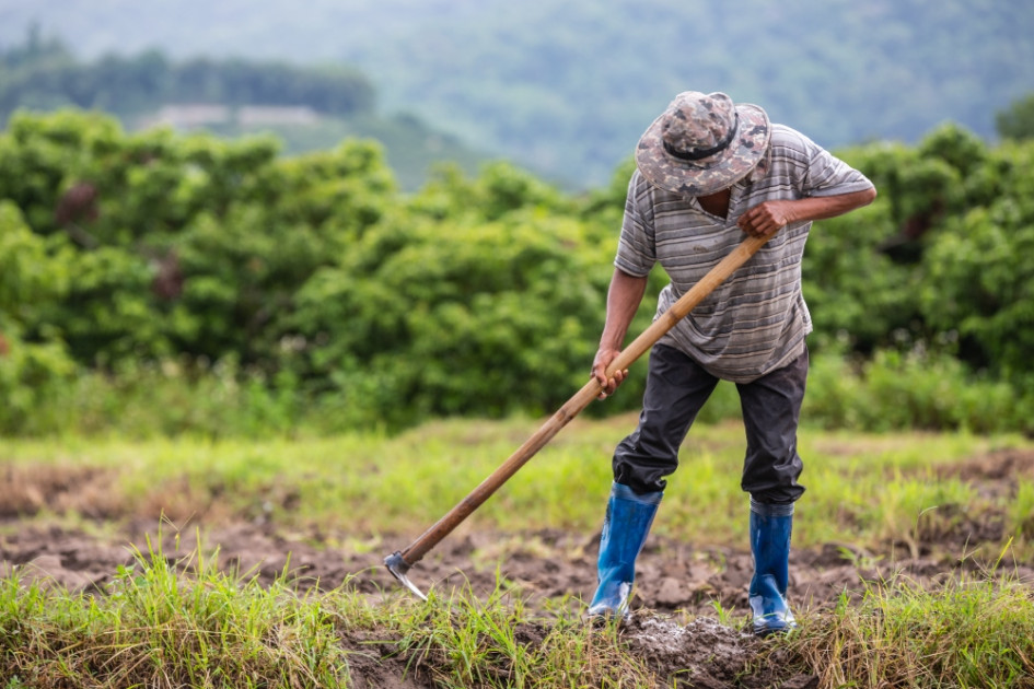El campesino aseguró haber perdido todos sus cultivo y la casa por decisión de la inspectora. El campesino aseguró haber perdido todos sus cultivo y la casa por decisión de la inspectora.