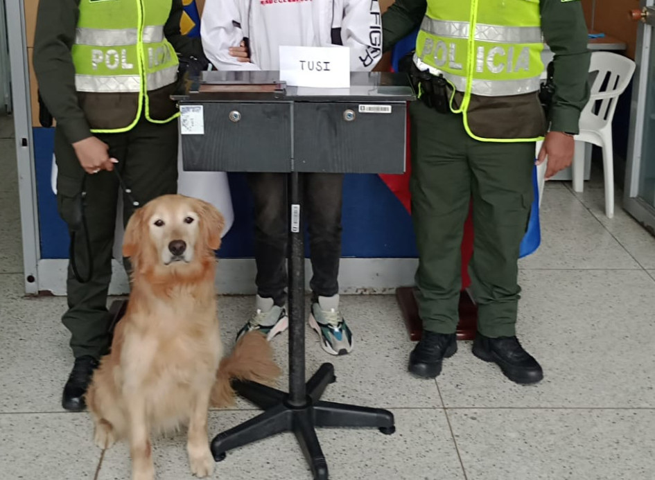 Las unidades caninas permitieron identificar a dos ciudadanos que transportaban droga. Las unidades caninas permitieron identificar a dos ciudadanos que transportaban droga.