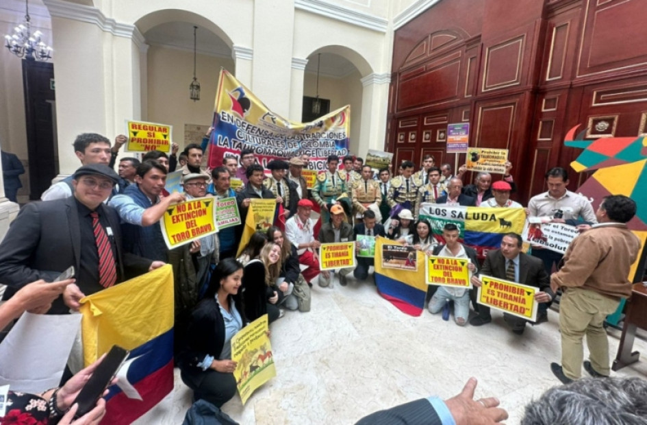 La presencia de los taurinos en la Cámara de Representantes. La presencia de los taurinos en la Cámara de Representantes.