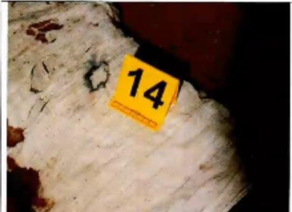 La almohada usada por el sicario para silenciar. La almohada usada por el sicario para silenciar.