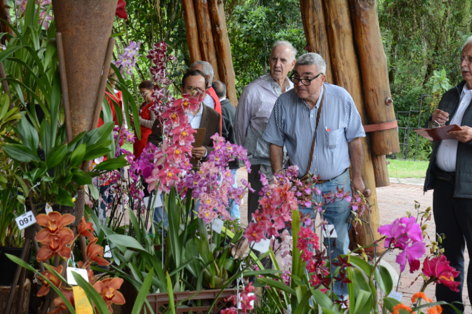 Exposición de Orquideas de Manizales Exposición de Orquideas de Manizales