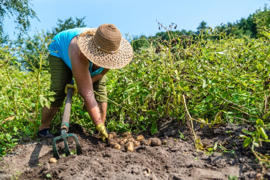 La agricultura creció un 10,2% en abril y la economía nacional repuntó un 5,5%, según el DANE. El Ejecutivo celebró los resultados. Sin embargo, representantes del sector agropecuario cuestionaron la cifra y solicitaron más apoyo.
