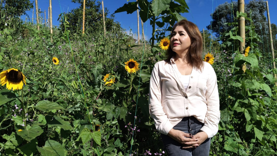 Ledin María Franco, cultivadora de girasoles en Manizales. Ledin María Franco, cultivadora de girasoles en Manizales.
