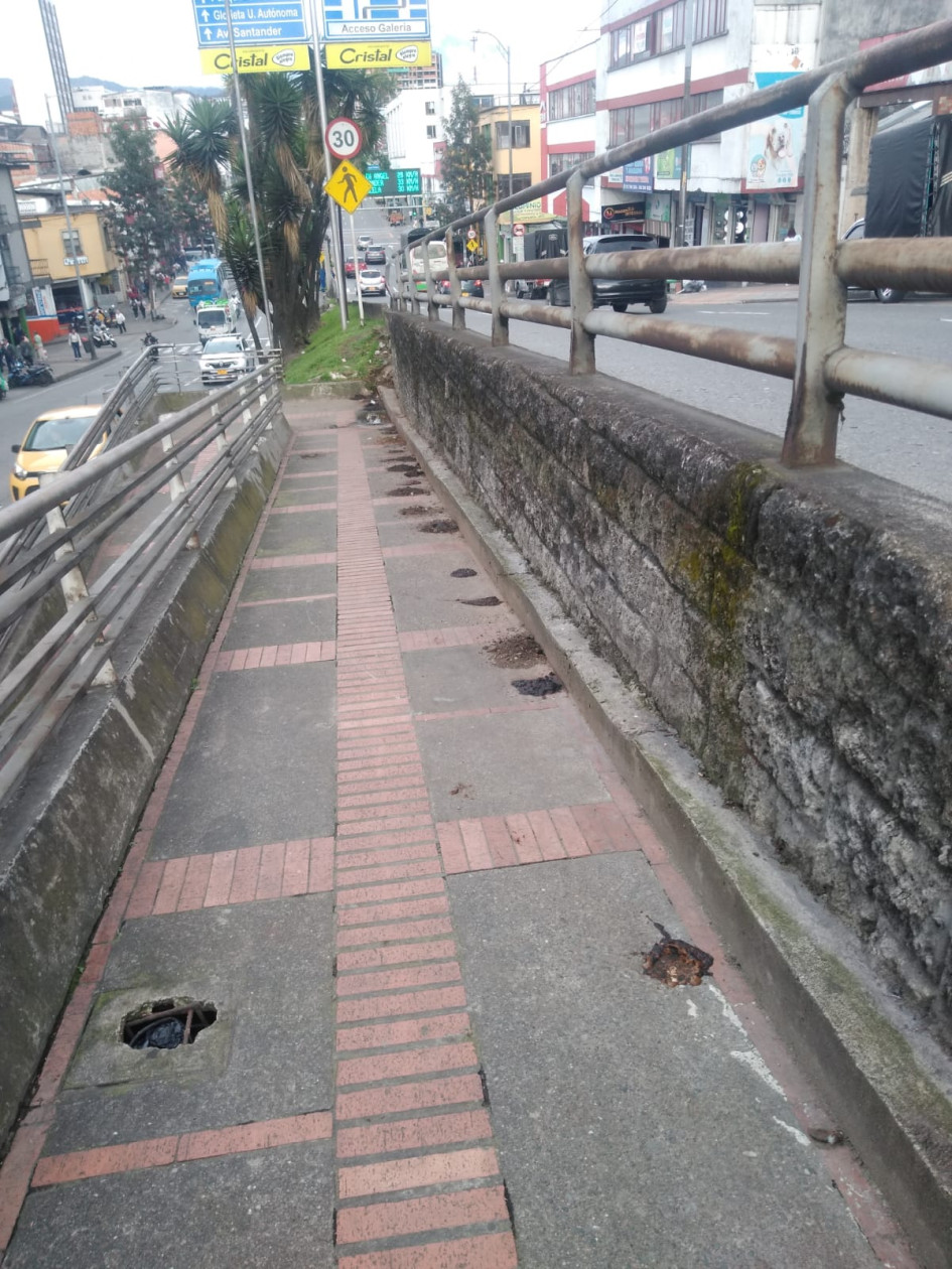 Pilas de excremento amanecen todos lo días en este sendero peatonal. Pilas de excremento amanecen todos lo días en este sendero peatonal.