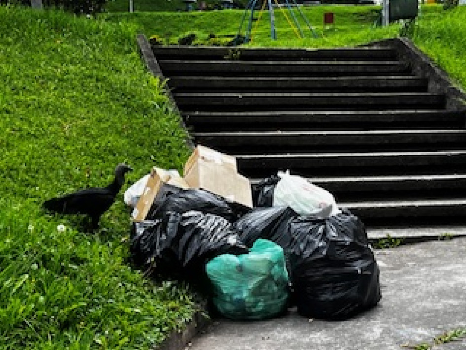 Estas bolsas de basura están situadas en una esquina del parque. La imagen fue capturada por un ciudadano del barrio Palermo. basuras en Manizales