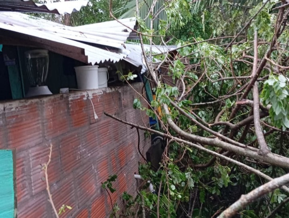 Así quedó una de las ocho casas en La Dorada luego de que un vendaval provocó la caída de un árbol. Así quedó una de las ocho casas en La Dorada luego de que un vendaval provocó la caída de un árbol.