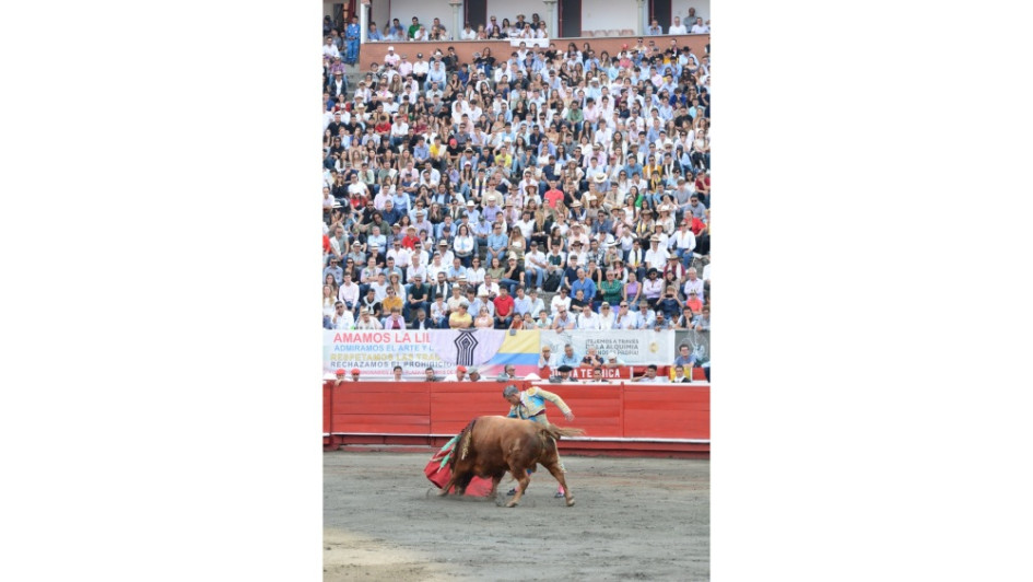 La aprobación de la ley que prohíbe los toros en Colombia se realizó el pasado 28 de mayo. La aprobación de la ley que prohíbe los toros en Colombia se realizó el pasado 28 de mayo.