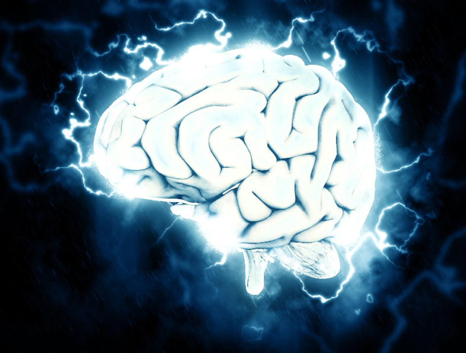 Cerebro Enfermedades neurológicas