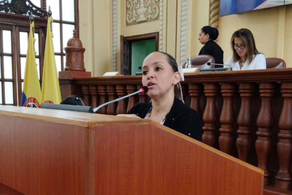 Natalia Castaño, directora de la Territorial de Salud de Caldas. Natalia Castaño, directora de la Territorial de Salud de Caldas.