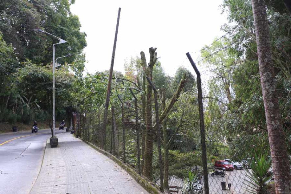 La poda de los árboles fue contratada por la obra con la empresa Podando. La poda de los árboles fue contratada por la obra con la empresa Podando.