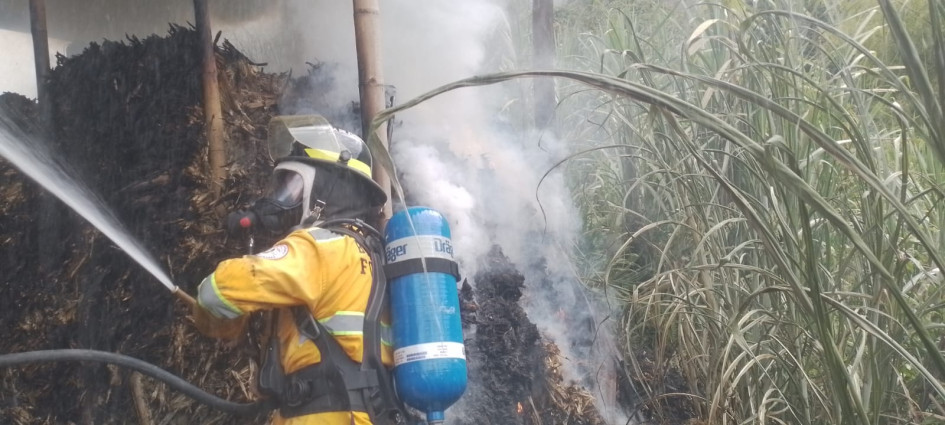 La estructura de un trapiche en Manzanares sufrió daños tras un incendio del que se desconocen las causas. La estructura de un trapiche en Manzanares sufrió daños tras un incendio del que se desconocen las causas.