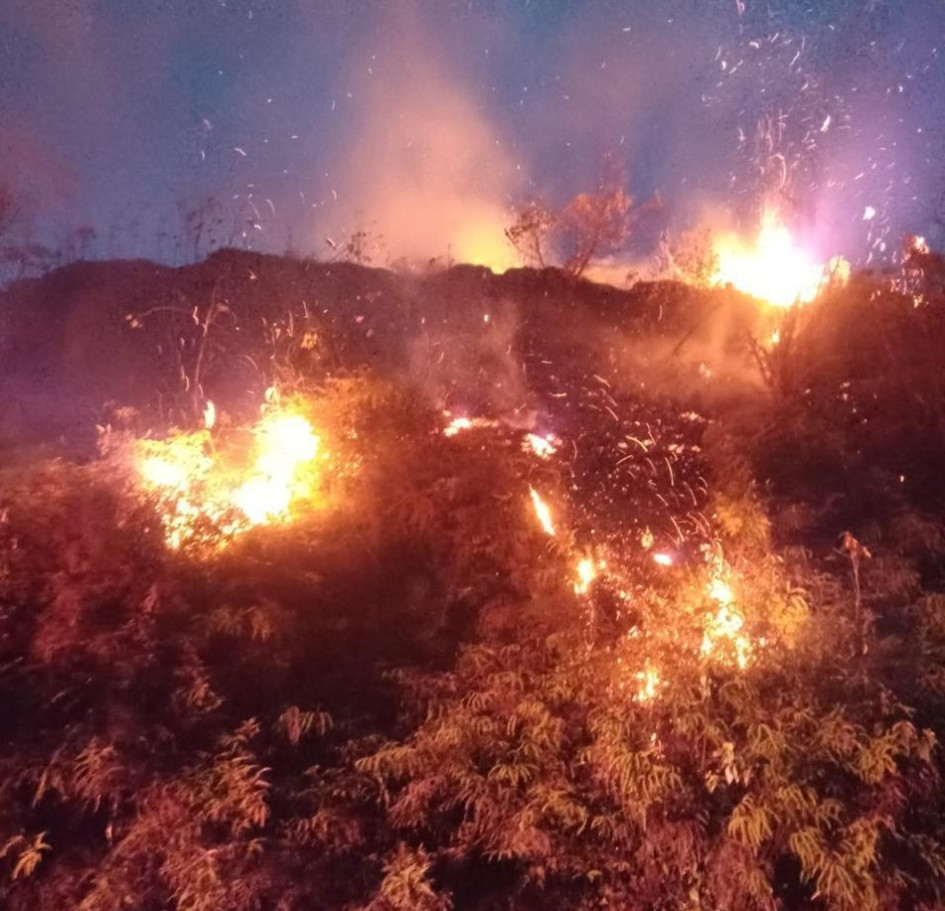 El Cuerpo de Bomberos de Samaná atendió dos incendios forestales entre jueves y domingo. El Cuerpo de Bomberos de Samaná atendió dos incendios forestales entre jueves y domingo.