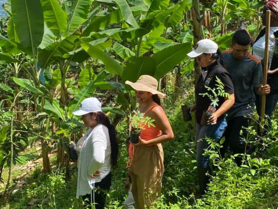 Foto I Facebook Alcaldía I LA PATRIA Grupo de participantes en la jornada de reforestación de la cuenca de la quebrada que abastece a comunidades de la vereda La Primavera. Los alumnos sembraron en las ladereras contiguas a la fuente de agua. Foto I Facebook Alcaldía I LA PATRIA Grupo de participantes en la jornada de reforestación de la cuenca de la quebrada que abastece a comunidades de la vereda La Primavera. Los alumnos sembraron en las ladereras contiguas a la fuente de agua.