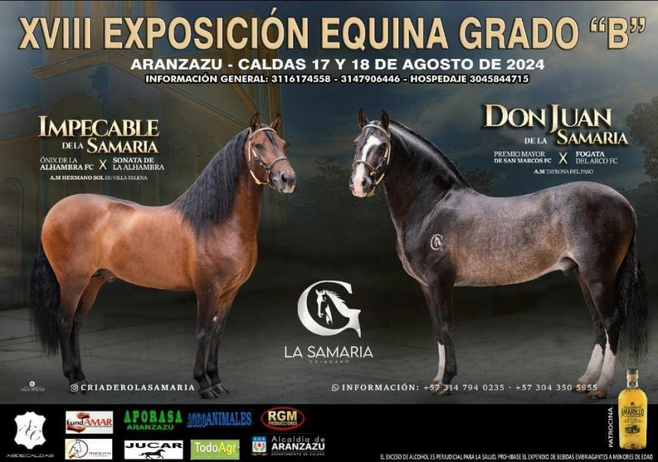 Aranzazu vivirá la Exposición Equina Grado B durante el fin de semana. Aranzazu vivirá la Exposición Equina Grado B durante el fin de semana.