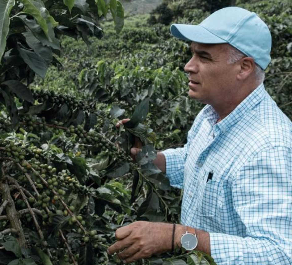 Carlos Felipe Hoyos Zuluaga, productor y delegado al Comité de Cafeteros de Caldas Carlos Felipe Hoyos Zuluaga, productor y delegado al Comité de Cafeteros de Caldas.