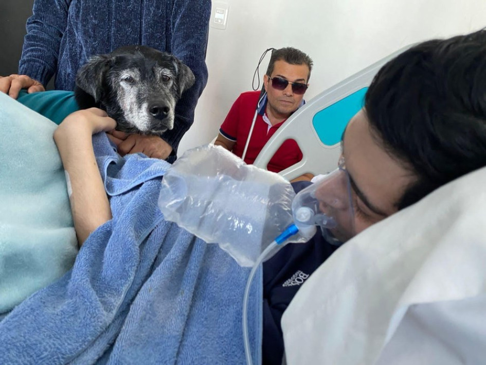 Esta imagen quedó registrada en los 20 minutos en los que Tommy y su querido dueño se dieron el adiós. Esta imagen quedó registrada en los 20 minutos en los que Tommy y su querido dueño se dieron el adiós.