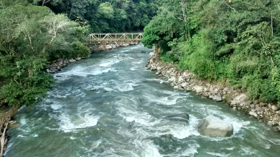 La intervención se hará en el Alto Zorro del río La Miel. La intervención se hará en el Alto Zorro del río La Miel.