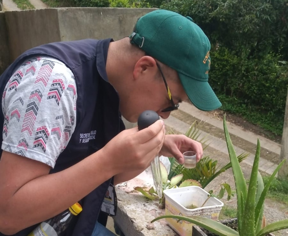 Hay 2462 casos notificados de dengue en Dosquebradas Hay 2462 casos notificados de dengue en Dosquebradas