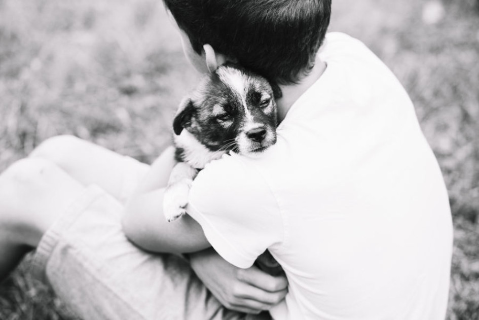 Según el experto, no es recomendable que los padres reemplacen una mascota con otra. Según el experto, no es recomendable que los padres reemplacen una mascota con otra.