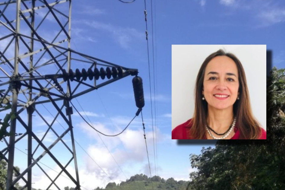Martha Libia Castaño Tovar, nueva gerente de Chec Chec