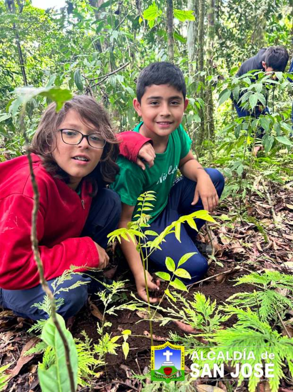 Los niños en San José, municipio dele occidente de Caldas, se familiarizan con las especies por sembrar. El propósito es aportar en la protección de las fuentes hídricas. Los niños en San José, municipio dele occidente de Caldas, se familiarizan con las especies por sembrar. El propósito es aportar en la protección de las fuentes hídricas.