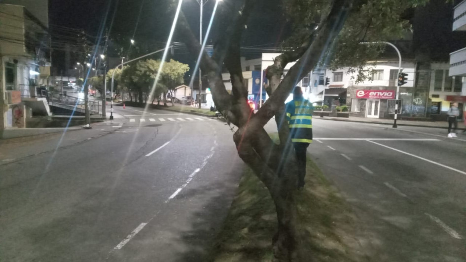 Contra este árbol chocó uno de los motociclistas fallecidos este año. Contra este árbol chocó uno de los motociclistas fallecidos este año.