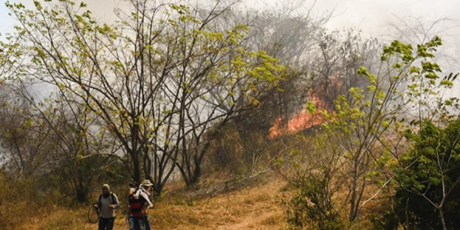 Foto | Gobernación de Tolima | LA PATRIA