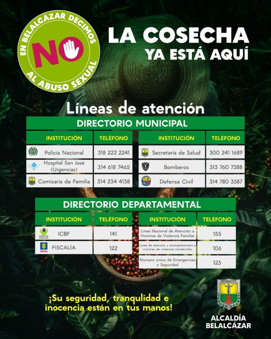 Llamar a las líneas es clave para altertar a las autoridades en caso de detectar algún caso sospechoso. Llamar a las líneas es clave para altertar a las autoridades en caso de detectar algún caso sospechoso.