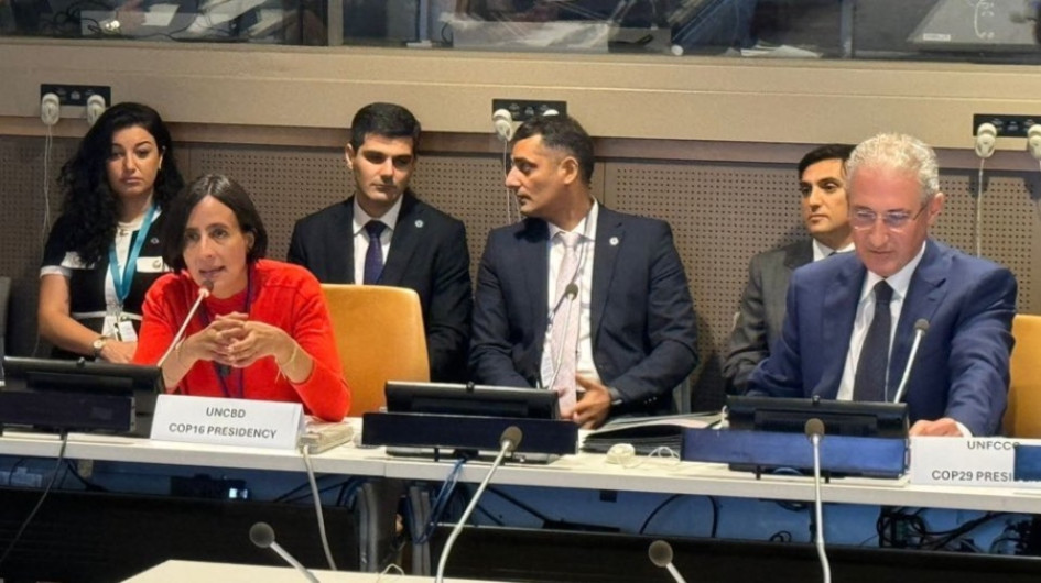 La ministra de Ambiente y Desarrollo Sostenible, Susana Muhamad en la Asamblea General de la ONU. La ministra de Ambiente y Desarrollo Sostenible, Susana Muhamad en la Asamblea General de la ONU.