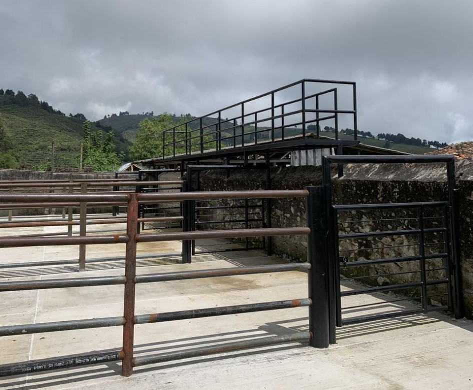 La Central de Sacrificio de Aguadas obtuvo la aprobación del Invima para entrar en operación el pasado 4 de septiembre. La planta llevaba ocho años cerrada. Ya hay cronograma para sacrificio de porcinos y bovinos. ¿Cuál es el panorama de los demás mataderos de Caldas? La Central de Sacrificio de Aguadas obtuvo la aprobación del Invima para entrar en operación el pasado 4 de septiembre. La planta llevaba ocho años cerrada. Ya hay cronograma para sacrificio de porcinos y bovinos. ¿Cuál es el panorama de los demás mataderos de Caldas?