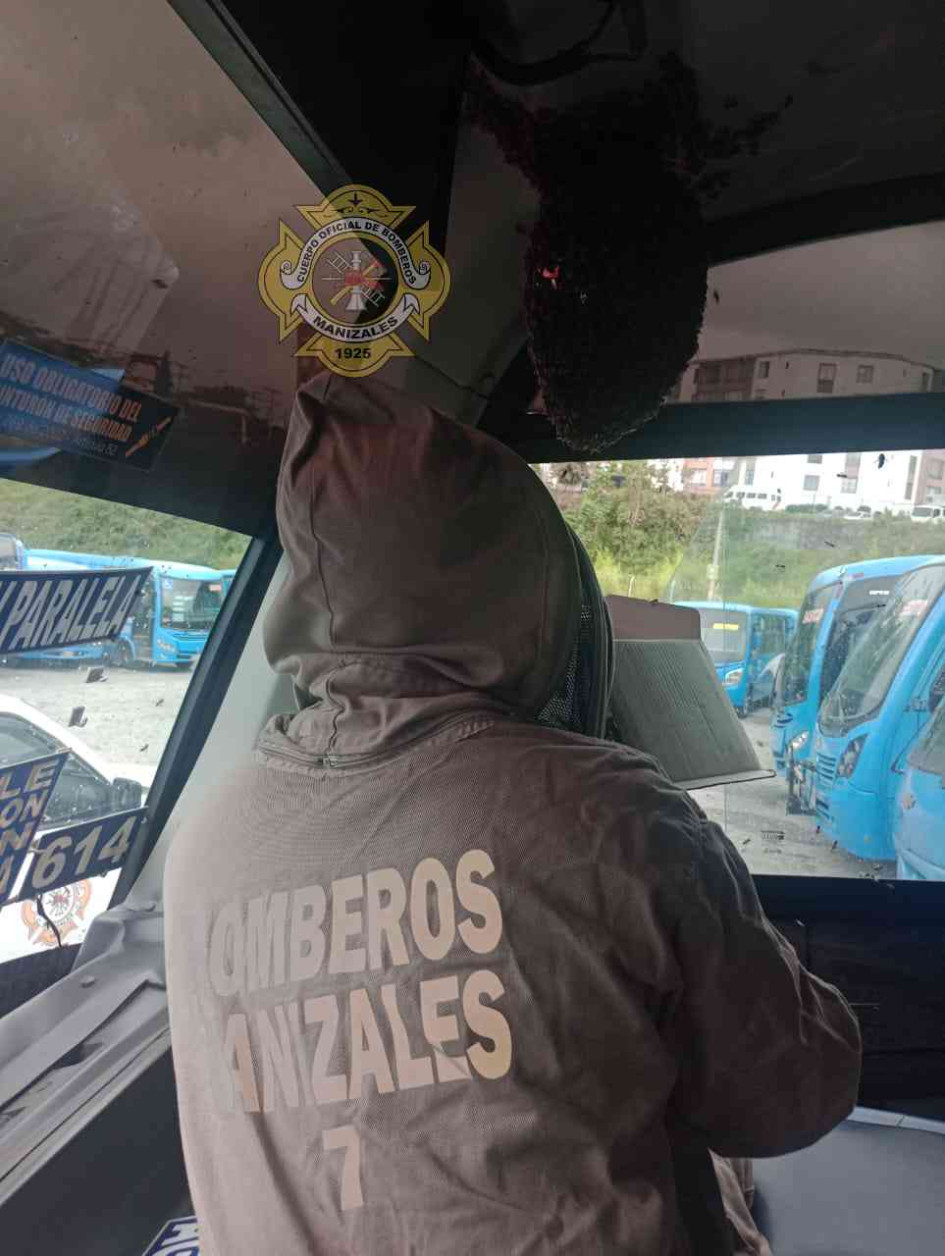 Las de la buseta. Las de la buseta.