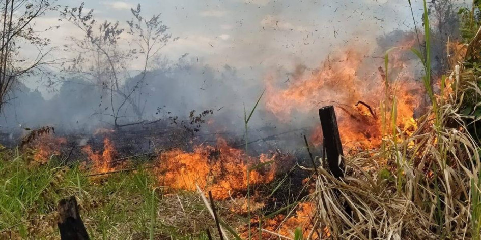 Hay alrededor de 15 incendios forestales activos en el país. En la foto, uno de los que se extienden en el Huila. Hay alrededor de 15 incendios forestales activos en el país. En la foto, uno de los que se extienden en el Huila.